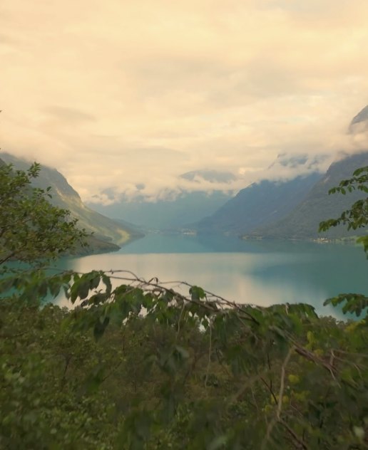 Turquoise Norwegian fjord between misty mountains, seen through the trees